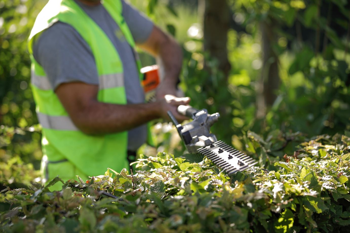 W-green snoei- en scheerwerken